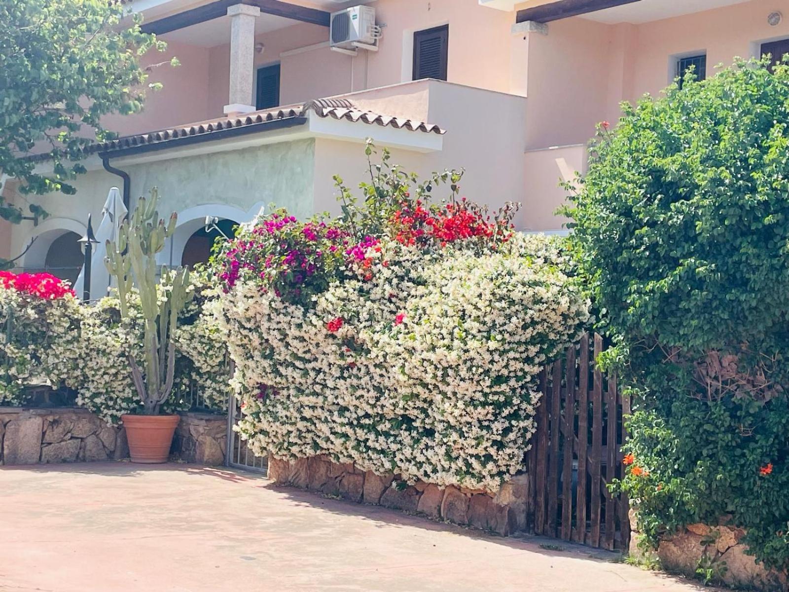 Appartamento Le Querce Vaccileddi Exteriör bild